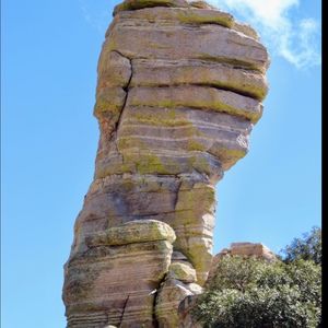 Meet your Posher, Terry